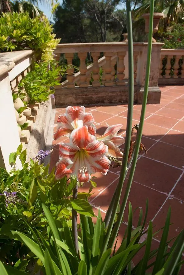别墅 Casa De Las Vistas 帕爾馬